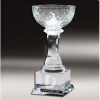cup_pha_le_29-e1495596253439