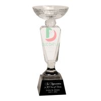 cup_pha_le_36-e1495597669198