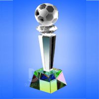 cup_pha_le_bong_da_19-e1495702197197