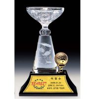 cup_pha_le_golf_04-e1495619790629