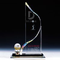 cup_pha_le_golf_16-e1495676598200