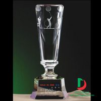cup_pha_le_golf_43-e1495682119581