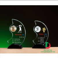 cup_pha_le_golf_53-e1495684689405